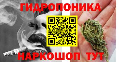тгк Севастополь