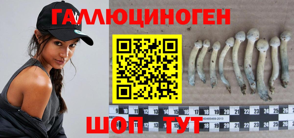 Псилоцибиновые грибы Psilocybine cubensis  хочу наркоту  Петрозаводск  Галлюциногенные грибы GOLDEN TEACHER  Вход с VPN 